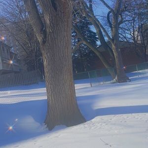 Meet your Posher, Alliyah